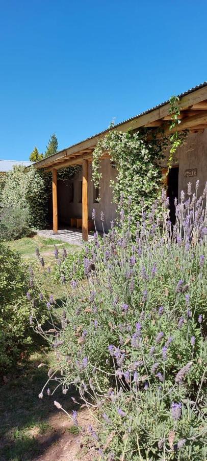 Tikaykilla Lodge&Wines Maipú Dış mekan fotoğraf