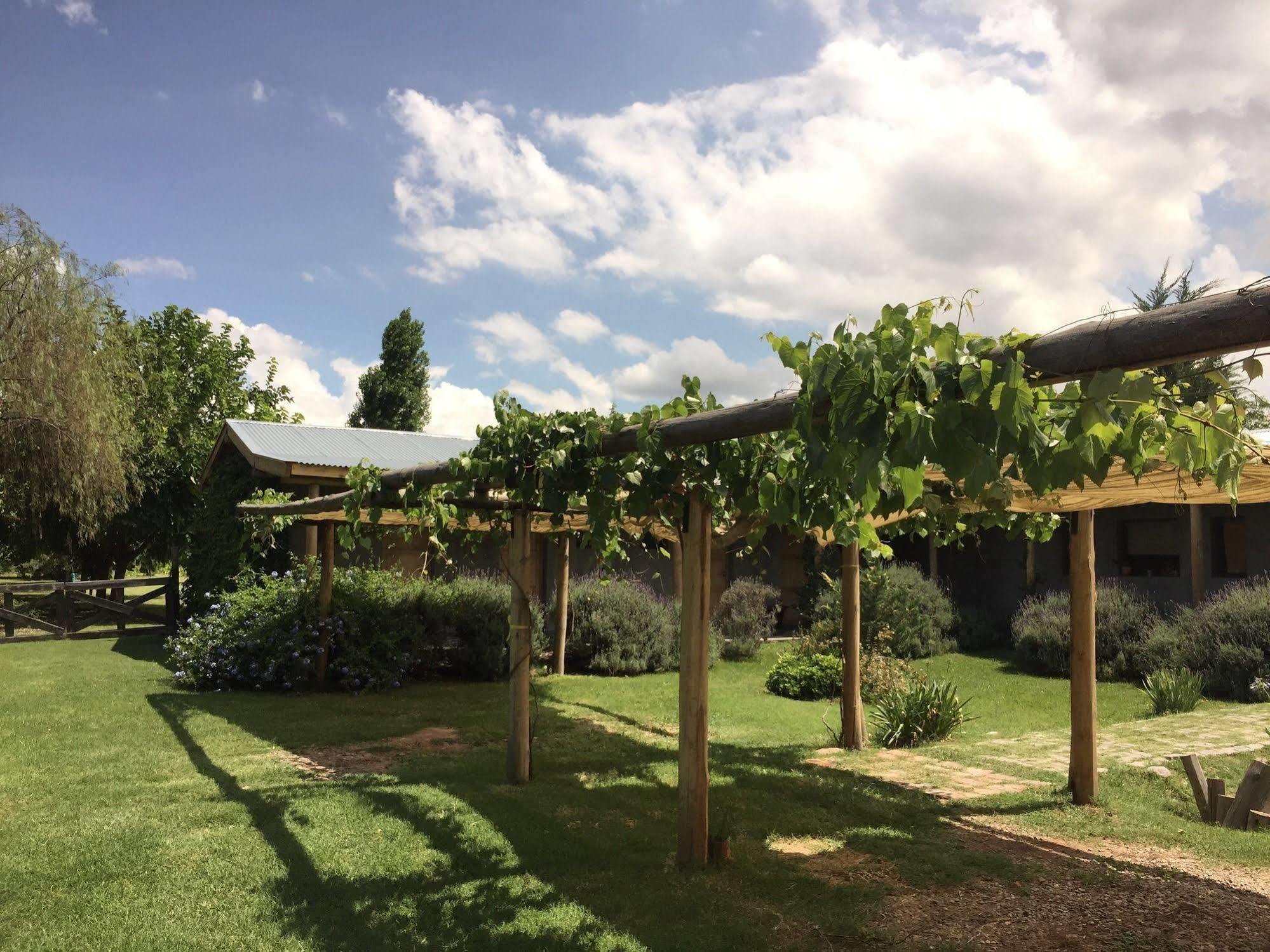 Tikaykilla Lodge&Wines Maipú Dış mekan fotoğraf