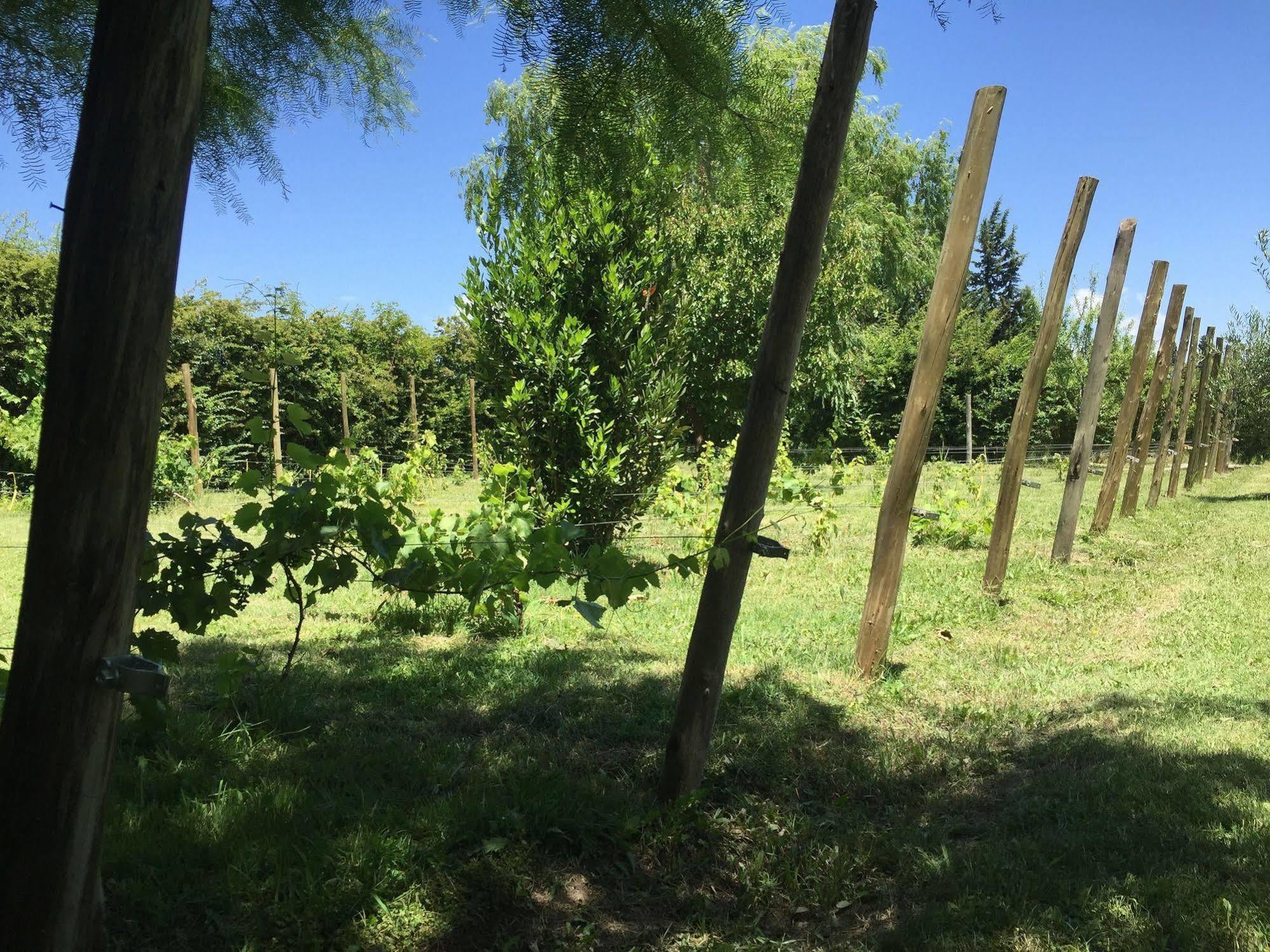 Tikaykilla Lodge&Wines Maipú Dış mekan fotoğraf