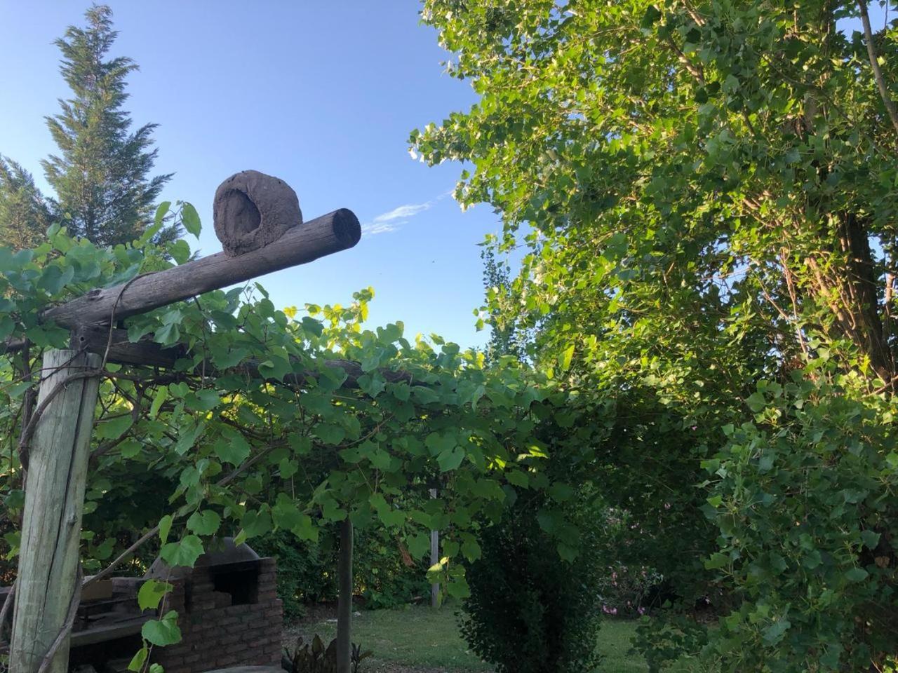 Tikaykilla Lodge&Wines Maipú Dış mekan fotoğraf