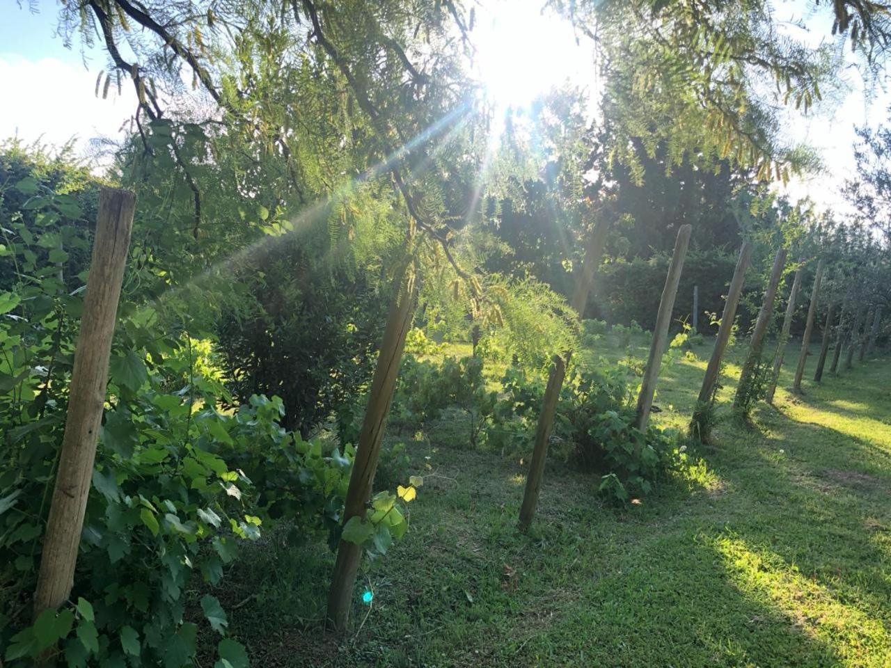 Tikaykilla Lodge&Wines Maipú Dış mekan fotoğraf